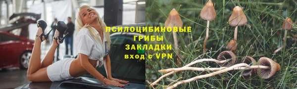мет Нефтегорск