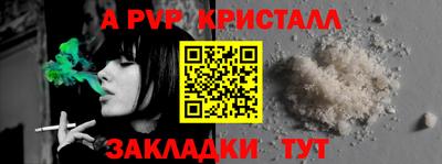 стаф Гай