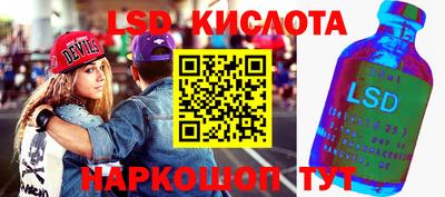 стаф Гай