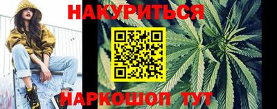 стаф Гай