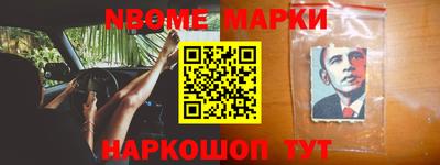стаф Гай