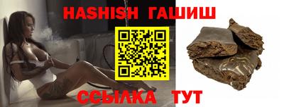 стаф Гай