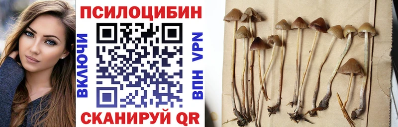 Псилоцибиновые грибы MAGIC MUSHROOMS  купить  сайты  Чита 