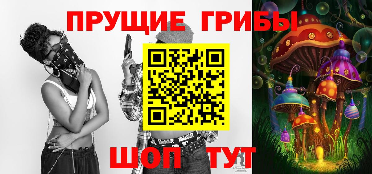 Чита  Галлюциногенные грибы Cubensis  Вход с VPN 