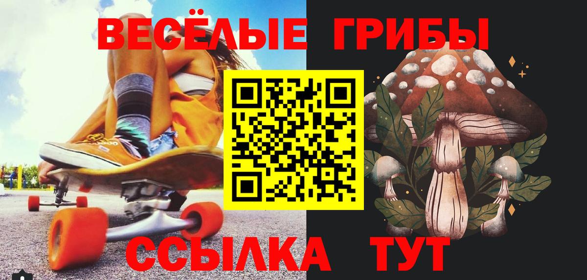 Галлюциногенные грибы мухоморы Чита
